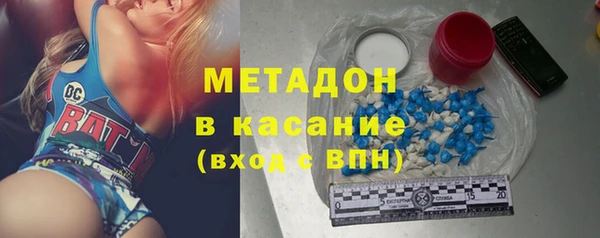 прущие грибы Армянск