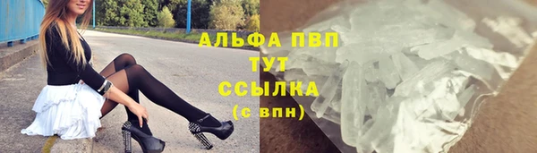 прущие грибы Армянск