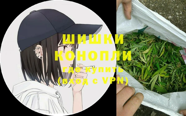 винт Аркадак