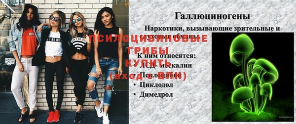 винт Аркадак