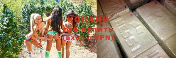 прущие грибы Армянск