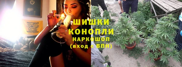 трава Арсеньев