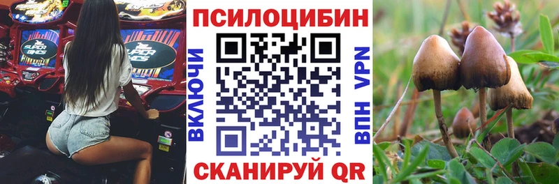 Галлюциногенные грибы мицелий купить наркоту сайты даркнета формула Суворов